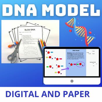 how to make dna structure model