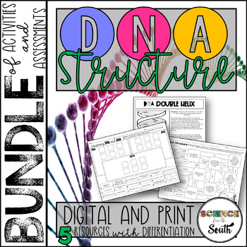 Preview of DNA Structure Unit Bundle of Activities and Assessments with Differentiation