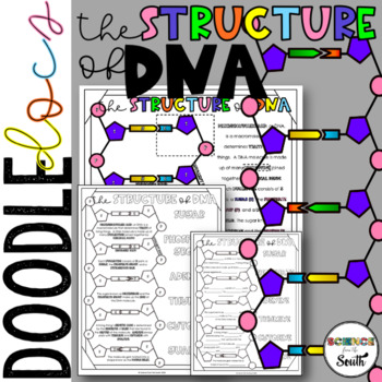 Preview of DNA Structure Doodle Docs Coloring Activity or Notes with Differentiation