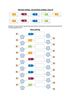 Preview of DNA Structure & DNA Base Pairing - Cut and Paste Worksheet Activity (Printables)