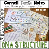 DNA Structure Doodle Notes double helix DNA base pairs nuc