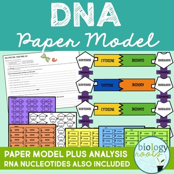 Dna Model Project Worksheets Teachers Pay Teachers