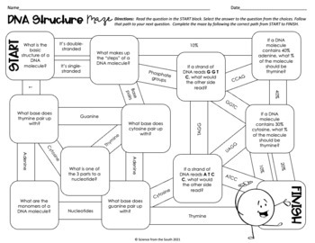 DNA Structure MAZE Worksheet for Review or Assessment by Science from