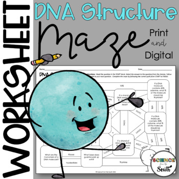 Preview of DNA Structure Maze Worksheet Activity Differentiated Print and Digital Resource