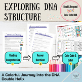 DNA Structure Mastery: Engaging Worksheets for Middle and 
