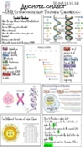 DNA Structure, Protein Synthesis, and Inheritance Patterns Anchor Chart