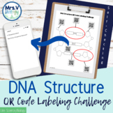 DNA Structure QR Code Labeling Challenge