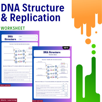 Preview of DNA Structure Worksheet: Exercises and Answers
