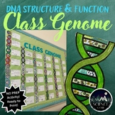 DNA Structure and Function "Class Genome" Activity