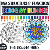 DNA Structure and Function Color by Number | Biology Revie
