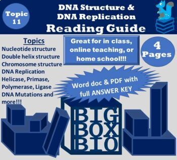 Preview of Guided Reading: DNA Structure, DNA Replication, Helicase, Primase, Polymerase