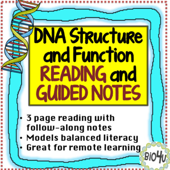 Preview of DNA Structure and Function Reading and Guided Notes