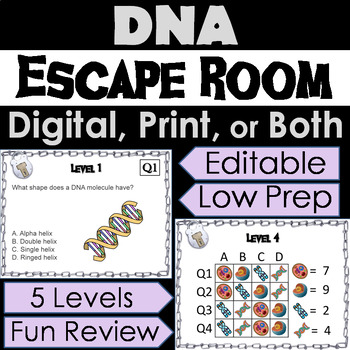 Preview of DNA Structure & Function Activity: Digital Escape Room (Genetics & Heredity)