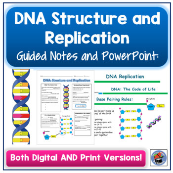 Preview of DNA Structure and Replication Guided Notes and PowerPoint