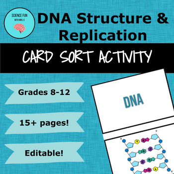 Preview of DNA Structure and Replication Card Sort Activity