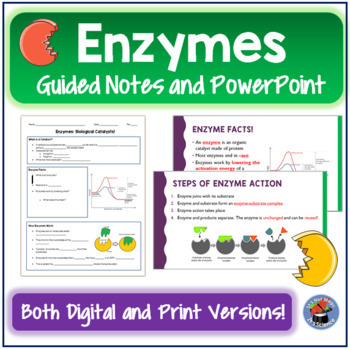 Preview of Enzymes Guided Notes and Power Point