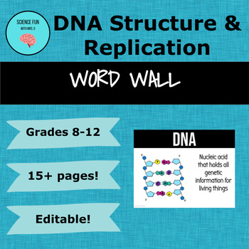 Preview of DNA Structure and Replication Word Wall