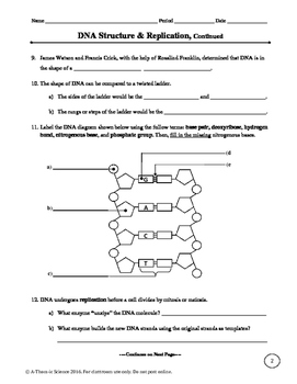 DNA Structure and Replication Worksheet by A-Thom-ic ...