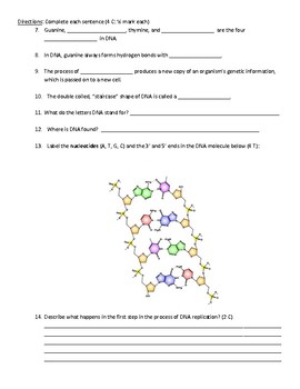 DNA Structure and Replication worksheet by Scientific ...