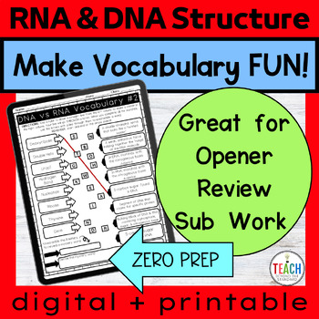 Preview of DNA Structure vs RNA Structure Vocabulary Mystery Match