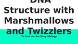 DNA Structure with Marshmallows and Twizzlers (To God be the Glory Biology)