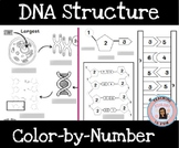 DNA Structure Color-by-Number + Matching Activity (Great E