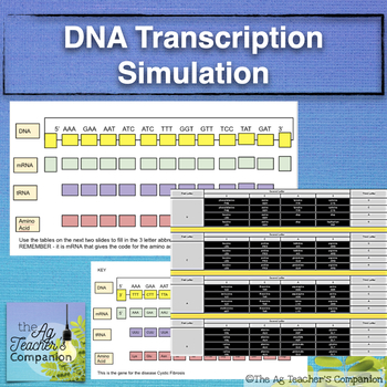 Preview of DNA Transcription Simulation - Google Classroom - Distance Learning