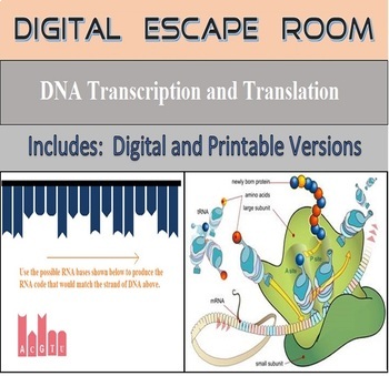 digital transcriptions