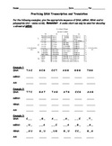 DNA, Transcription, and Translation