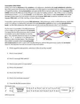 dna reading assignment