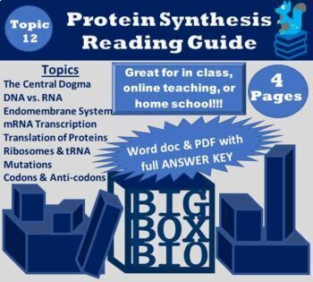 Preview of Guided Reading:DNA, RNA, Transcription/Translation, Protein Synthesis, Mutations