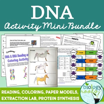 Preview of DNA - Activity Package