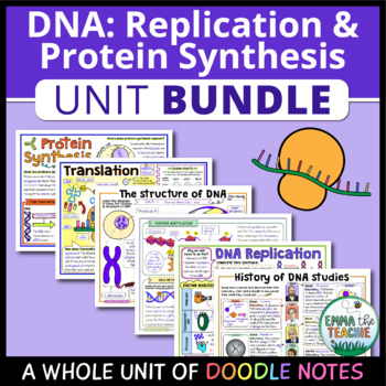 Preview of DNA UNIT Doodle Notes - Structure, Replication, Mutations, Protein Synthesis