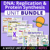 DNA UNIT Doodle Notes - Structure, Replication, Mutations,