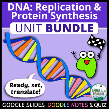 Preview of DNA UNIT Digital Activities, Doodle Notes & Quiz - Structure, Genes, Mutations