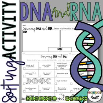 Preview of DNA and RNA Structure and Function Sorting Activity in Print and Digital