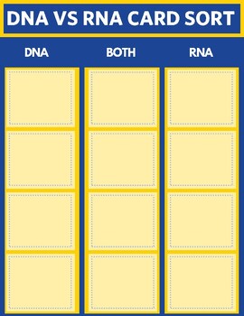 Preview of DNA VS RNA- On-level AND Advanced Card Sort