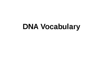 Preview of DNA Vocabulary