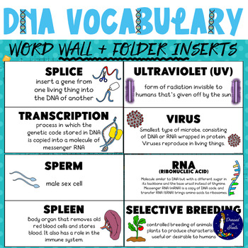 Preview of DNA Vocabulary Word Wall and Folder Inserts