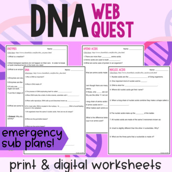 Preview of Emergency Sub Plans: DNA Webquest