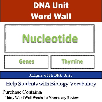 Preview of DNA Word Wall