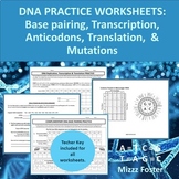 DNA Worksheets: Base Pairing, Transcription, Translation, 