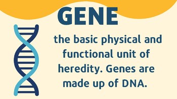 Preview of DNA and Cell Cycle Unit Vocabulary for ESL/ELL