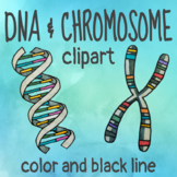 DNA and Chromosome Clipart