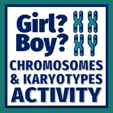 DNA and Chromosomes Activity Build a Boy or Girl Karyotype