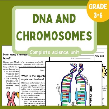 Preview of DNA and Chromosomes | Intro to Heredity| Reading passages | Assessments