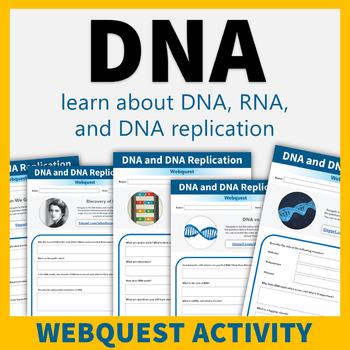 Preview of DNA and DNA Replication Webquest Biology Activity