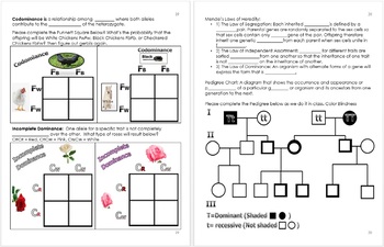 Preview of DNA and Genetics Unit Printable Work Bundles