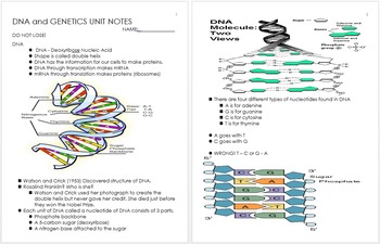 Preview of DNA and Genetics Unit Notes, Biology Curriculum, Standards