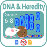 DNA and Heredity- Virtual Learning